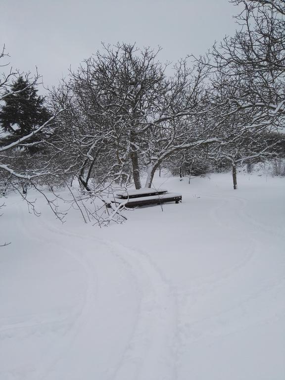 Mount Etna Chalet Maletto Bagian luar foto
