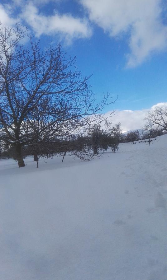 Mount Etna Chalet Maletto Bagian luar foto