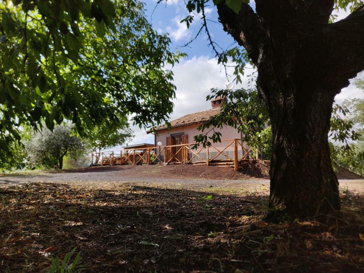 Mount Etna Chalet Maletto Bagian luar foto