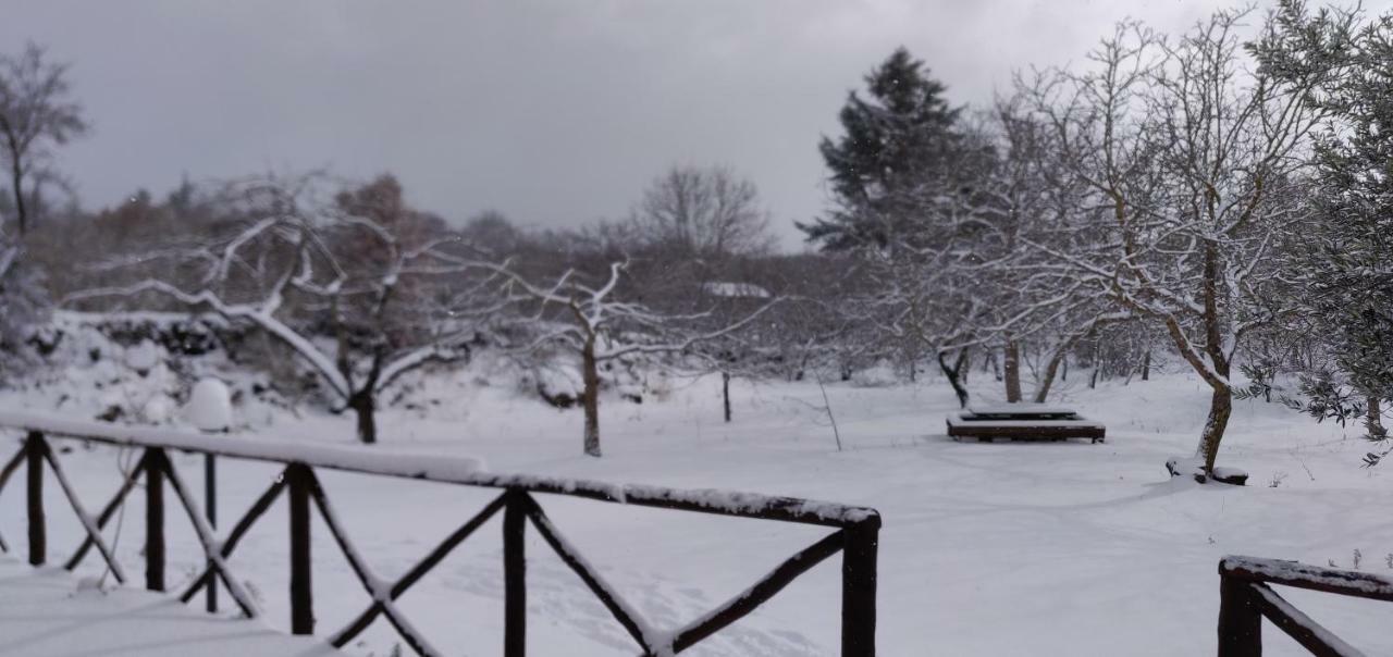 Mount Etna Chalet Maletto Bagian luar foto